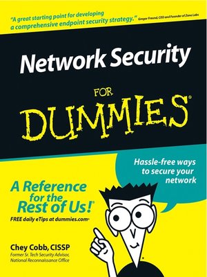 Network Security For Dummies - ebook